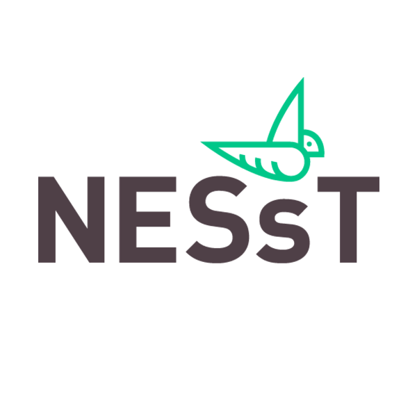 NESsT - Partener Jobs4all